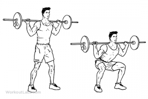 Barbell-Squat