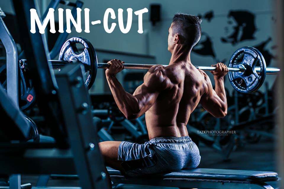 What Is A Mini-Cut?